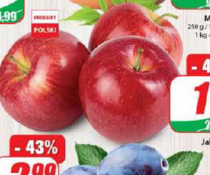 Promocje w Dino od 11.08