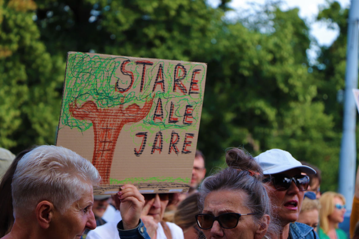 Wielki protest w Toruniu. Mieszkańcy mówią #stopBETONOZIE