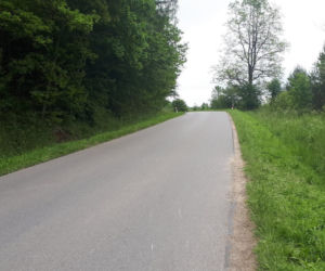 Pijany zabił 14-letnią Dominikę 