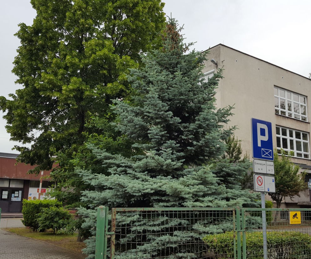 II i I LO z Leszna w rankingu miesięcznika Perspektywy