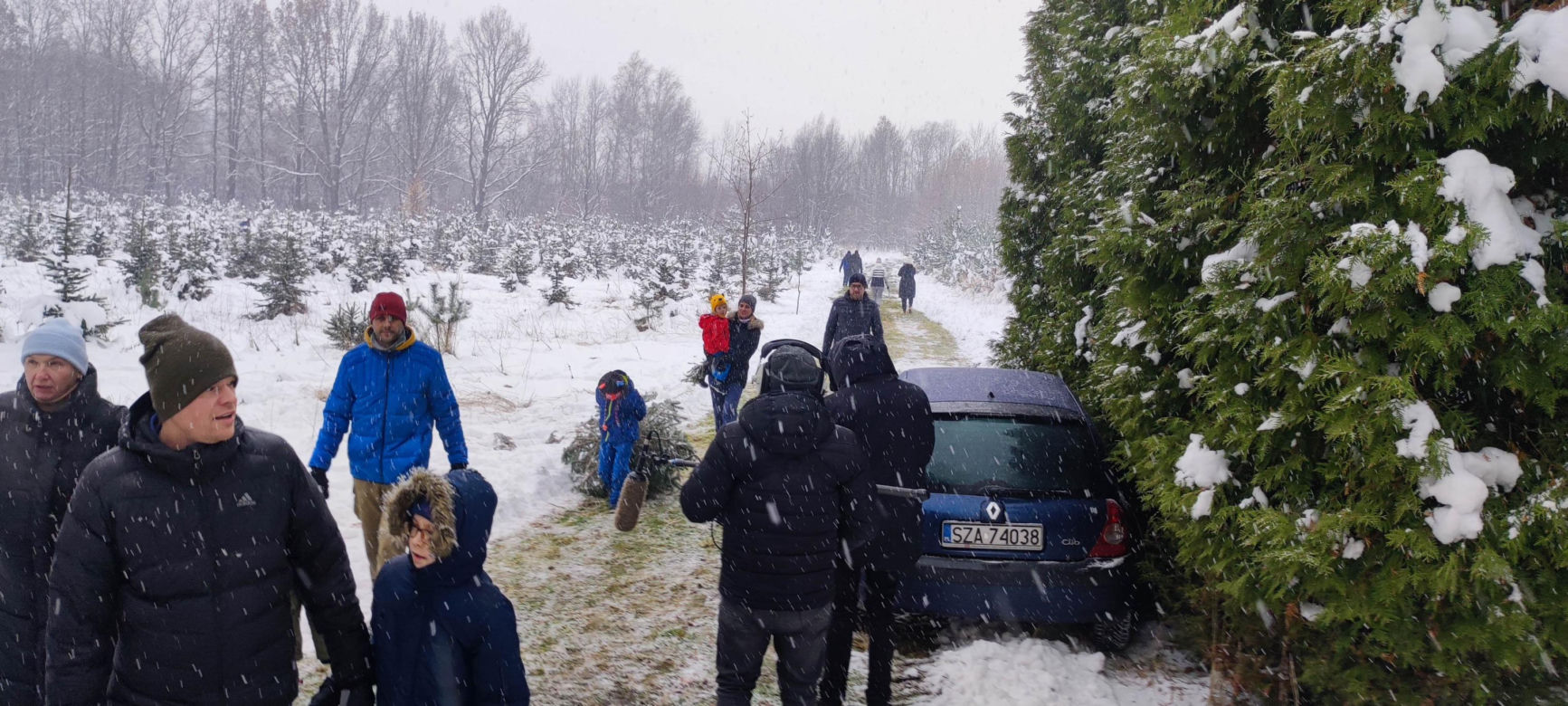 Choinkobranie w leśnictwie Grodziec co roku przyciąga całe rodziny