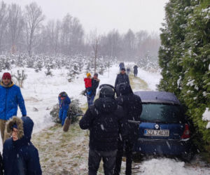 Choinkobranie w leśnictwie Grodziec co roku przyciąga całe rodziny