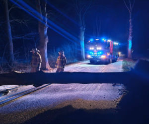 Wichura zniszczyła zabytkową kapliczkę przy sanktuarium
