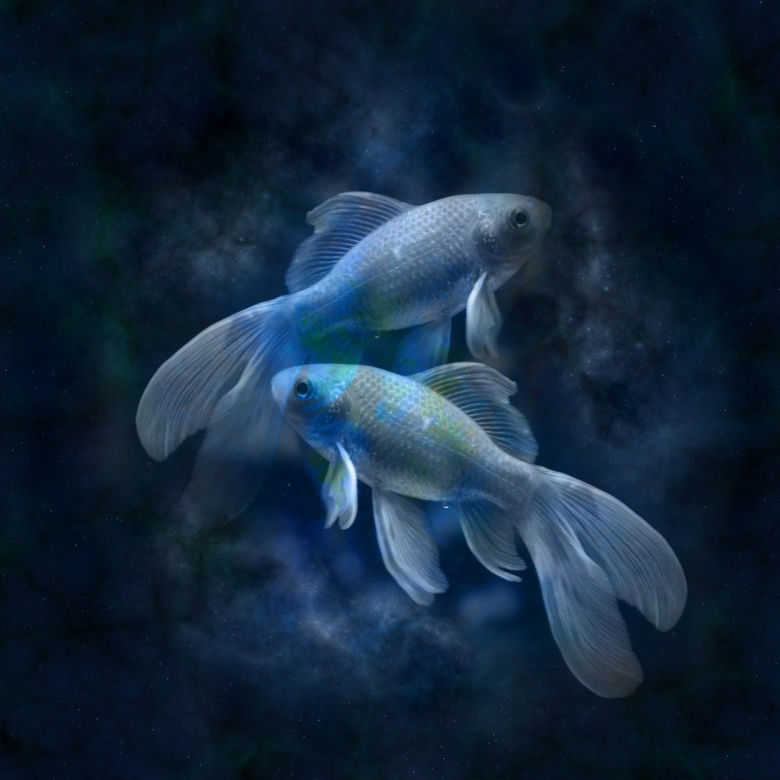 Horoskop 6.12:  Ryby