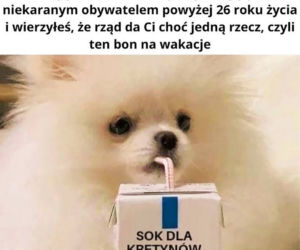Bon turystyczny MEMY. Kiedy jesteś bezdzietnym, pracującym obywatelem... 
