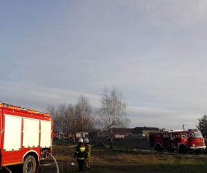 OGROMNY pożar w powiecie świeckim! Jedna osoba poszkodowana