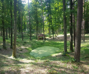 Leśne Arboretum Warmii i Mazur w Kudypach