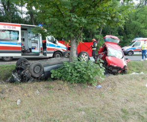 Borucinek w gminie Osięciny niedaleko Radziejowa to wieś jakich tysiące w Polsce. Przez nią przebiega droga  krajowa numer 62