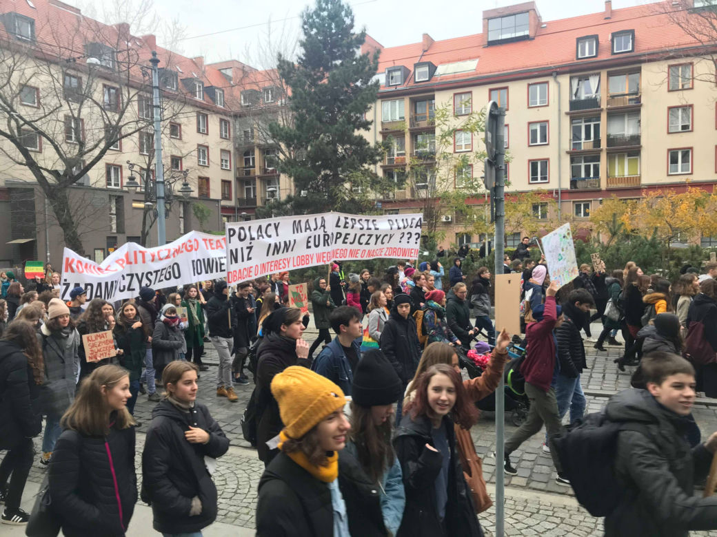 Manifestacja w obronie klimatu