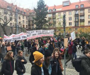 Manifestacja w obronie klimatu
