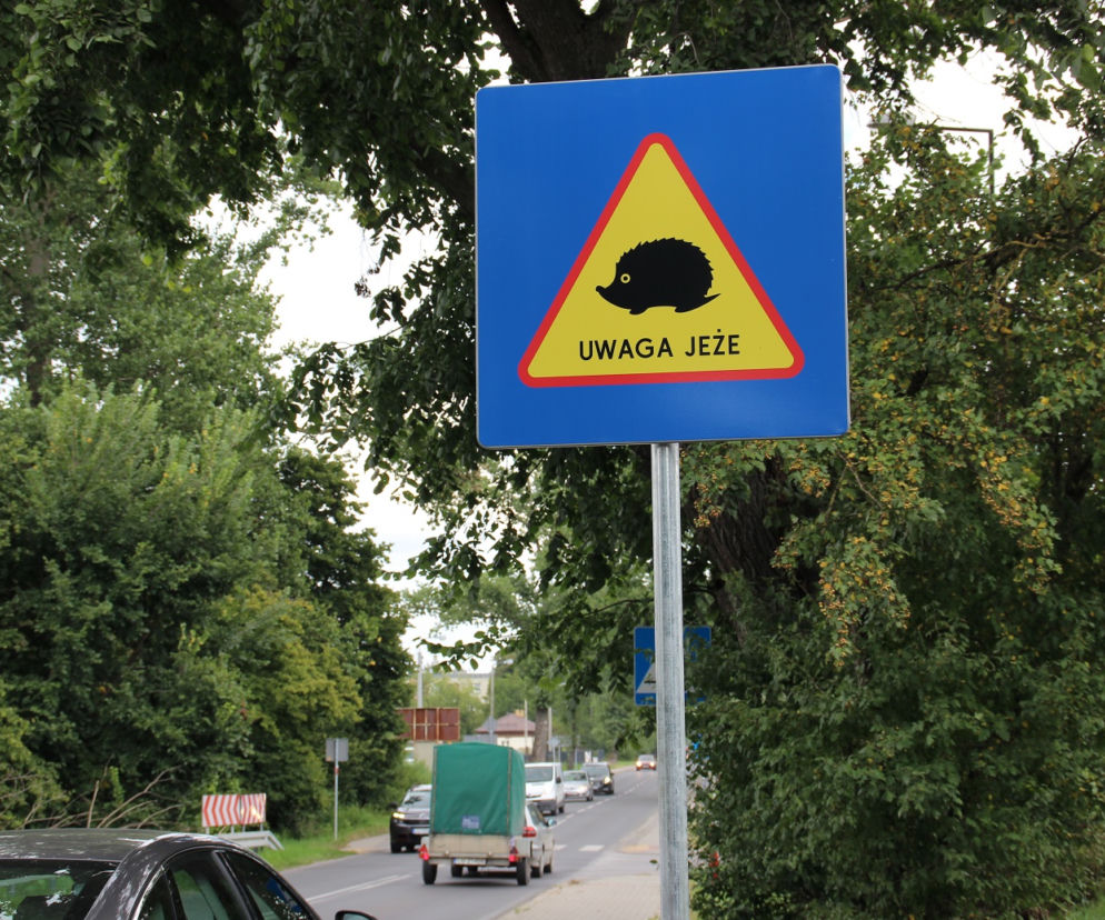 Takich znaków w Lublinie jeszcze nie było