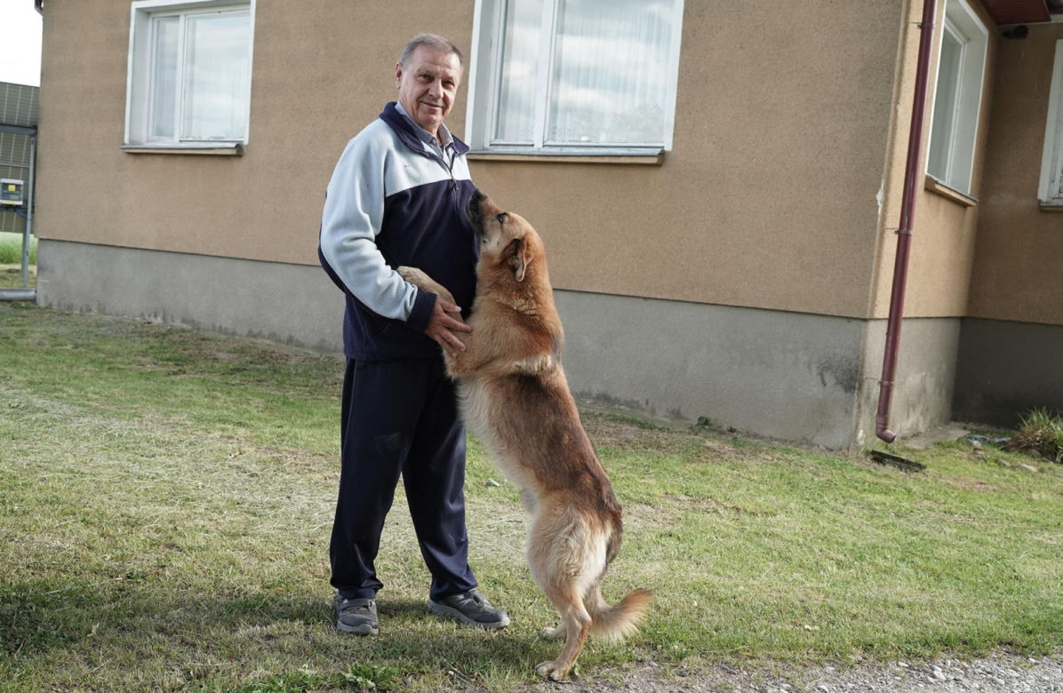 Wilki w rejonie Puszczy Knyszyńskiej. Mieszkańcy alarmują