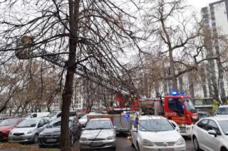 Akcja służb na Mokotowie. Ratowali uwięzionego na balkonie… gołębia!