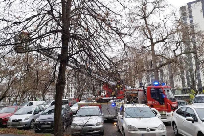 Akcja służb na Mokotowie. Ratowali uwięzionego na balkonie… gołębia!