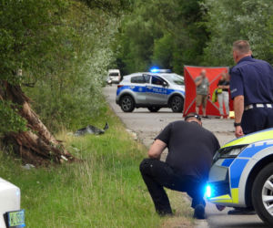 29-latek roztrzaskał się na drzewie. Młody kierowca nie miał szans