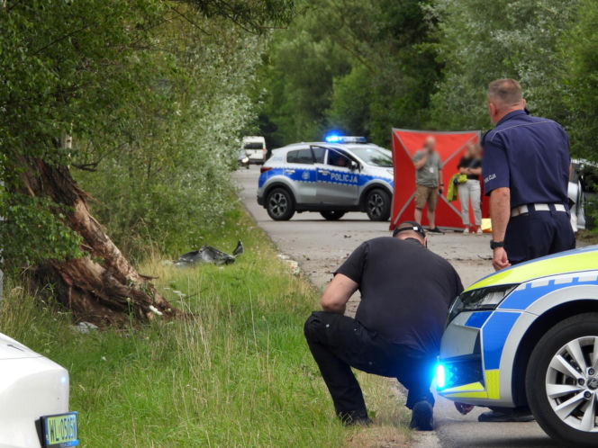 29-latek roztrzaskał się na drzewie. Młody kierowca nie miał szans