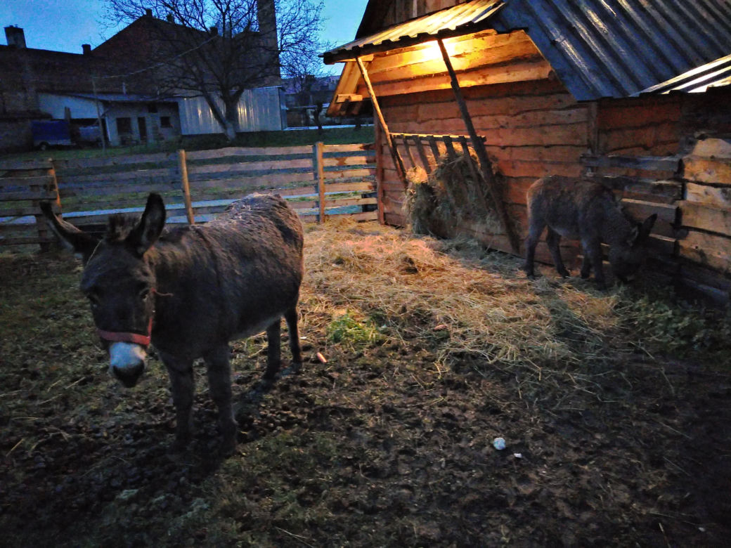Ta szopka różni się od innych! Zobacz co przygotowali ojcowie Bernardyni
