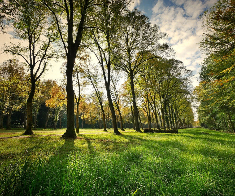 W Kielcach powstanie Park Kielczan