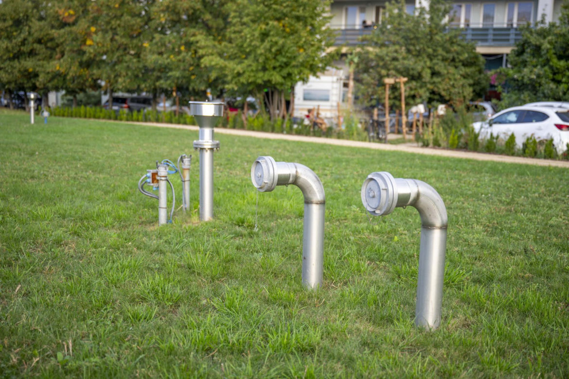 1000 drzew, 100 tysięcy krzewów i ogród zmysłów