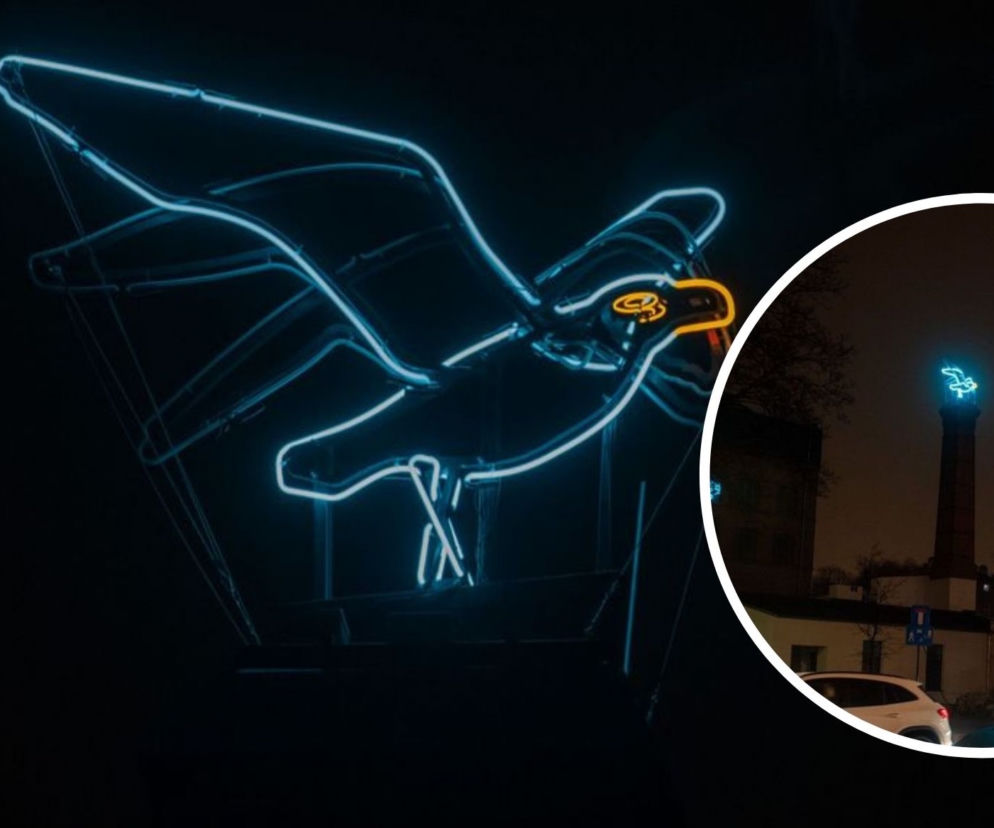 Nowy neon w Łodzi! Gdzie świeci mewa?