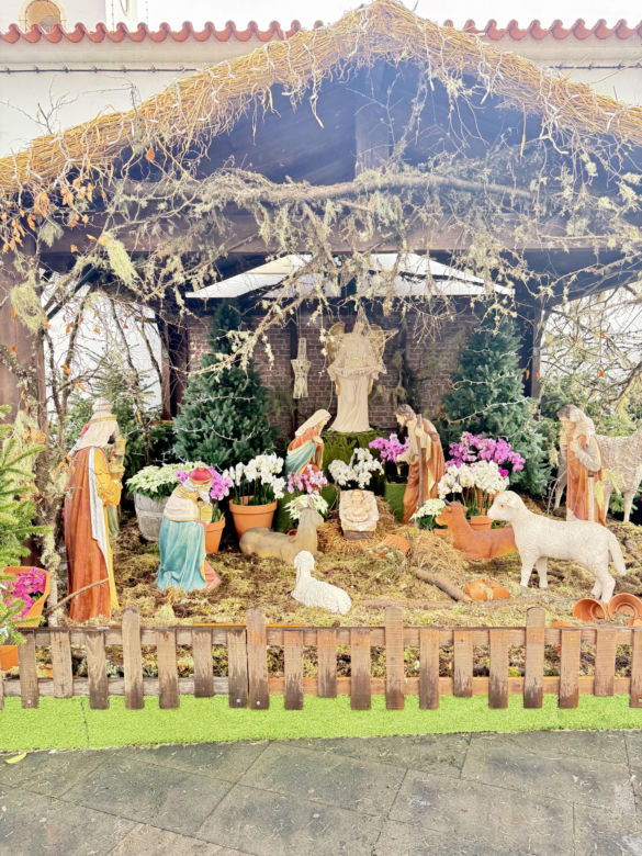 Camara de Lobos