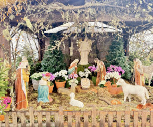 Boże Narodzenie na Maderze