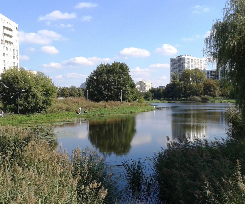 Jeziorko Gocławskie