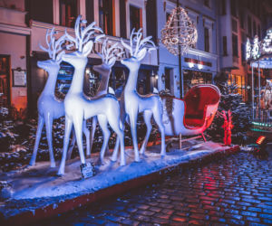 Toruń gotowy na święta Bożego Narodzenia. Cudowny klimat wypełnił starówkę