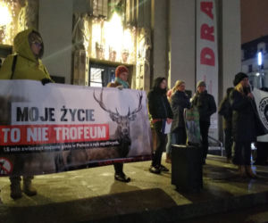 Protest w Katowicach