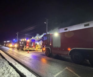 Druh Tymek wyniósł kota z płonącego domu. „Być może nie udałoby się go uratować”