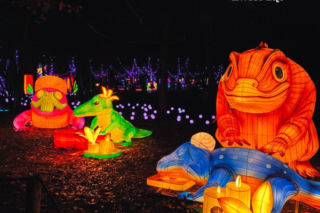 Garden of Lights