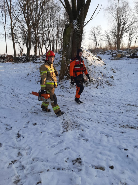 Młody źrebaczek utopił się w lodowatej wodzie. Jak przyjechali strażacy, zwierzę było pod lodem
