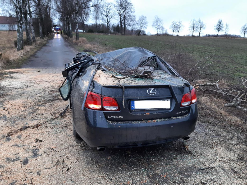 O włos od tragedii! Wielkie drzewo spadło na samochód. Kobieta przeżyła, bo zrobiła coś niesamowitego [FOTO]