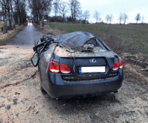 O włos od tragedii! Wielkie drzewo spadło na samochód. Kobieta przeżyła, bo zrobiła coś niesamowitego [FOTO]