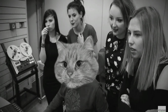 Youtuberki odpowiadają hejterom! Red Lipstick Monster, Mówiąc Inaczej, Lisie Piekło i Szparagi nagrały piosenkę [TEKST]