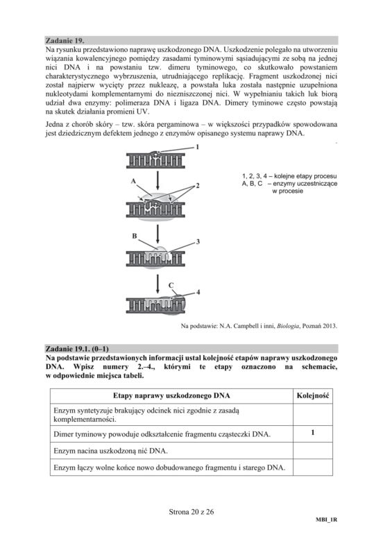 Matura 2020 ARKUSZE CKE z biologii POZIOM ROZSZERZONY 