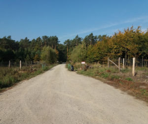 Lubicie ruch na świeżym powietrzu? Zobaczcie najlepsze miejsca do biegania w Płocku i okolicach! [GALERIA]