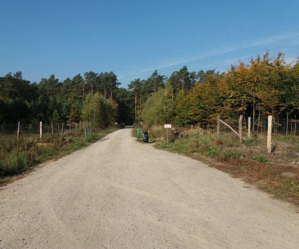 Lubicie ruch na świeżym powietrzu? Zobaczcie najlepsze miejsca do biegania w Płocku i okolicach! [GALERIA]