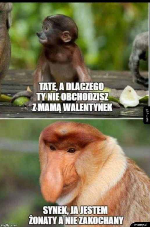memy