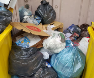 Bydgoszczanie mają już dość! Wciąż toną w śmieciach!