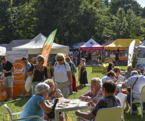 Weekend pełen smaków i tradycji! Gdynia zaprasza na 33. Dary Ziemi