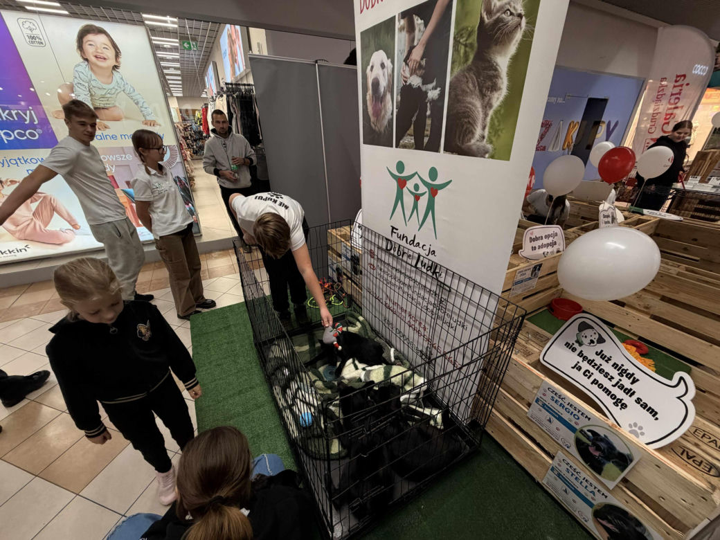 Akcja adopcyjna Fundacji Dobre Ludki w Grudziądzu