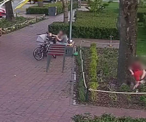 Dzieci zniszczyły kwiaty, rodzice rozmawiali obok. Straż miejska zapowiada konsekwencje!