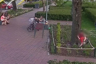 Dzieci zniszczyły kwiaty, rodzice rozmawiali obok. Straż miejska zapowiada konsekwencje!