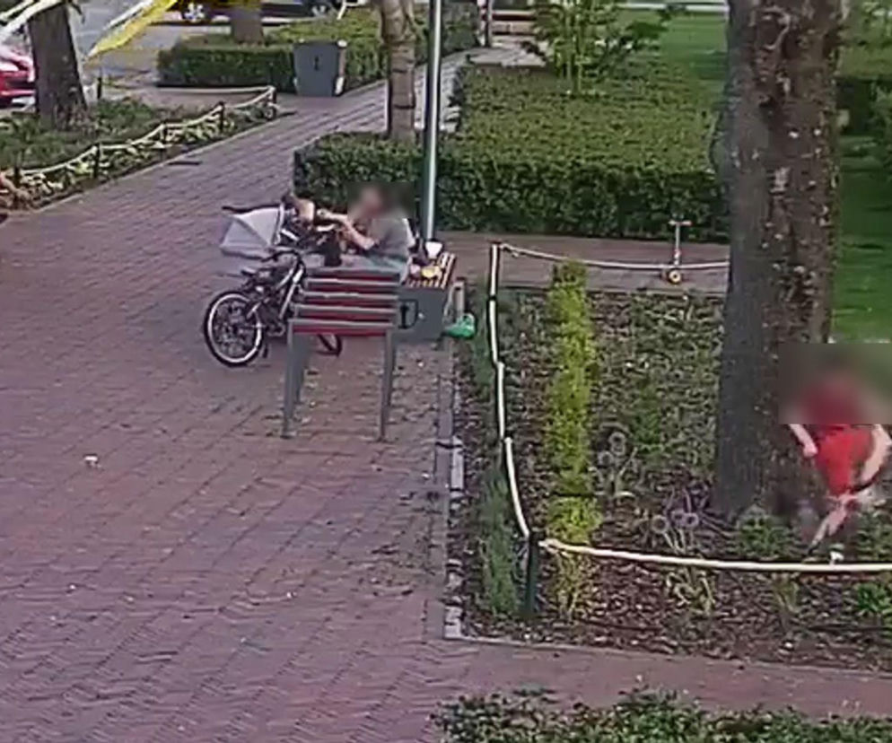 Szokujące sceny na skwerze. Dzieci demolowały kwiaty, dorośli nie reagowali