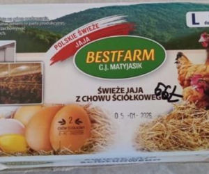 Skażone jajka w sklepach. Pilny komunikat dla klientów przed świętami