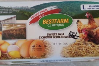 Skażone jajka w sklepach. Pilny komunikat dla klientów przed świętami
