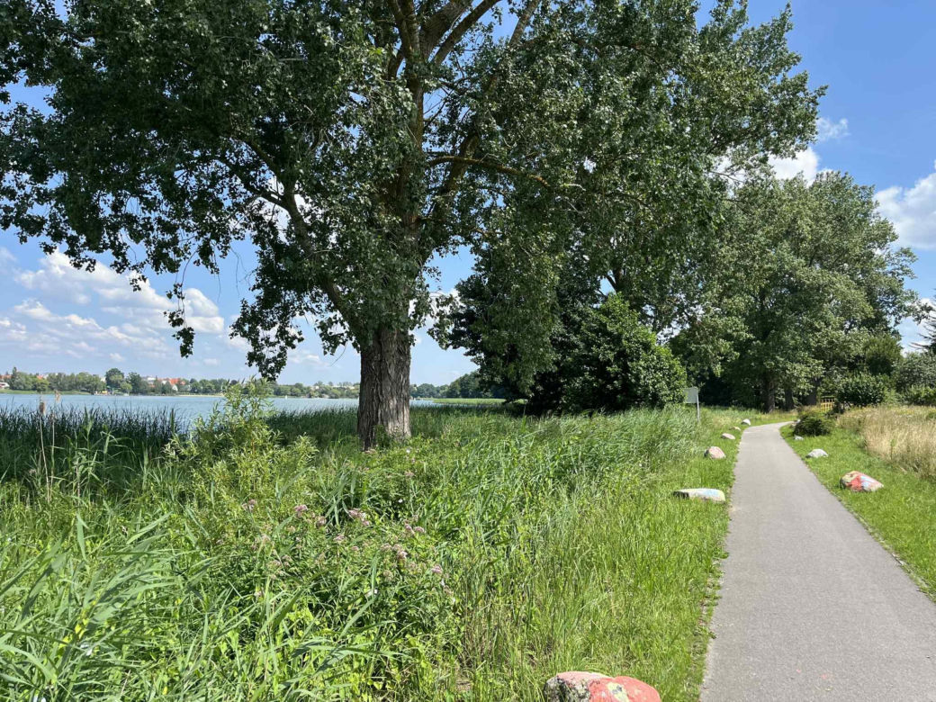 Jezioro Nowogardzkie