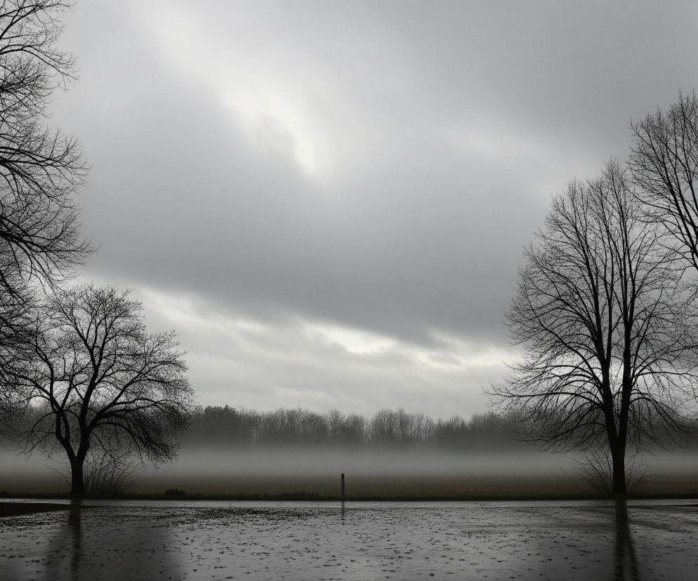 Płaszczyzna mokrej, błyszczącej powierzchni z licznymi refleksami od szarego nieba rozciąga się na pierwszym planie, przypominając kałużę lub zbiornik wodny. Na horyzoncie widoczna jest gęsta mgła zakrywająca dolną część oddalonych drzew i zlewająca się z zielonkawym pasem ziemi, która na górze przechodzi w ciemniejszy, wyraźniejszy pas lasu. Po obu stronach kadru dominują nagie drzewa z ciemnymi, rozłożystymi koronami i grubymi pniami, odcinające się wyraźnie na tle zachmurzonego, jednolicie szarego nieba. Po lewej stronie, pomiędzy dwoma drzewami, zauważalny jest ciemny, prostokątny kształt przypominający kosz na śmieci, a po prawej stronie wystaje pionowy słupek z lampą uliczną na szczycie.