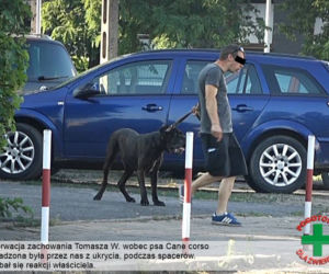 Narkoman z Bydgoszczy katował swojego psa! Jest podejrzany także o zoofilie!